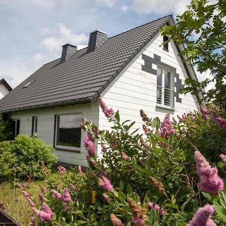 Ferienhaus Grenzweg Winterberg Exteriör bild