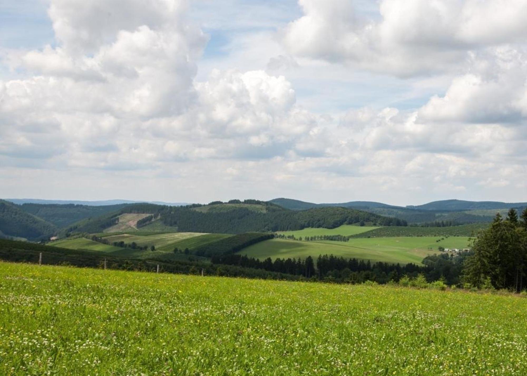 Ferienhaus Grenzweg Winterberg Exteriör bild